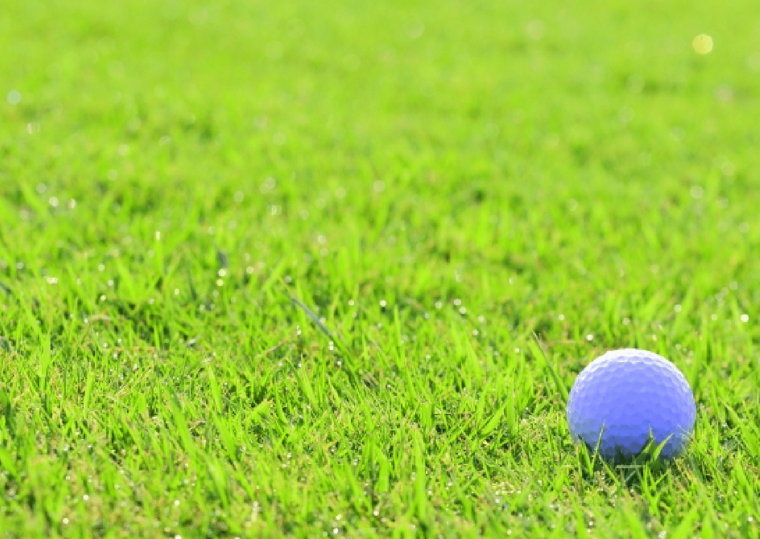 ゴルフ場は地球温暖化防止に貢献しています。